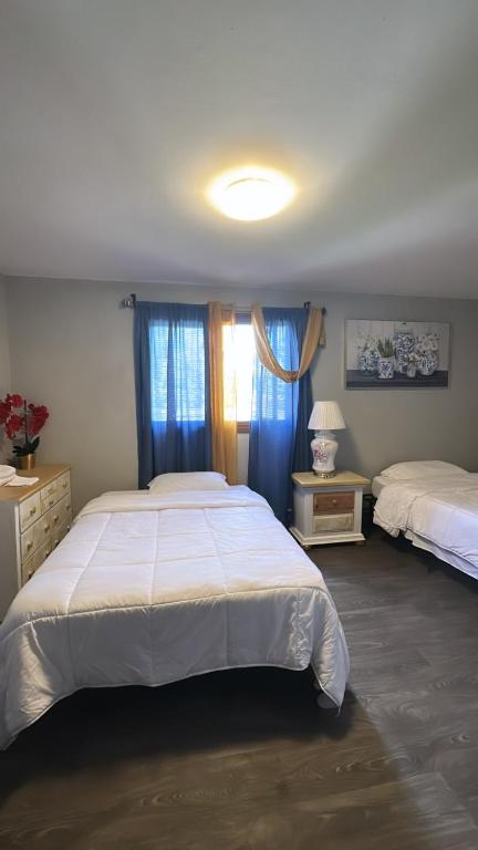 Two double beds with blue and yellow curtains, East 16th Avenue Anchorage