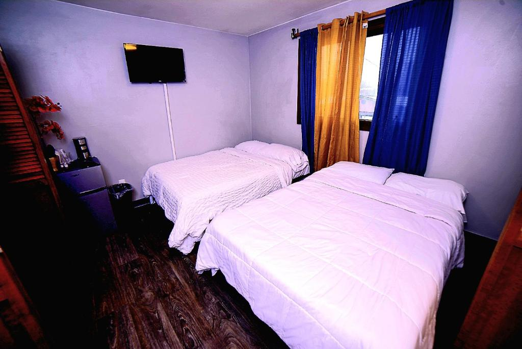 Two double beds with blue and yellow curtains, East 16th Avenue Anchorage