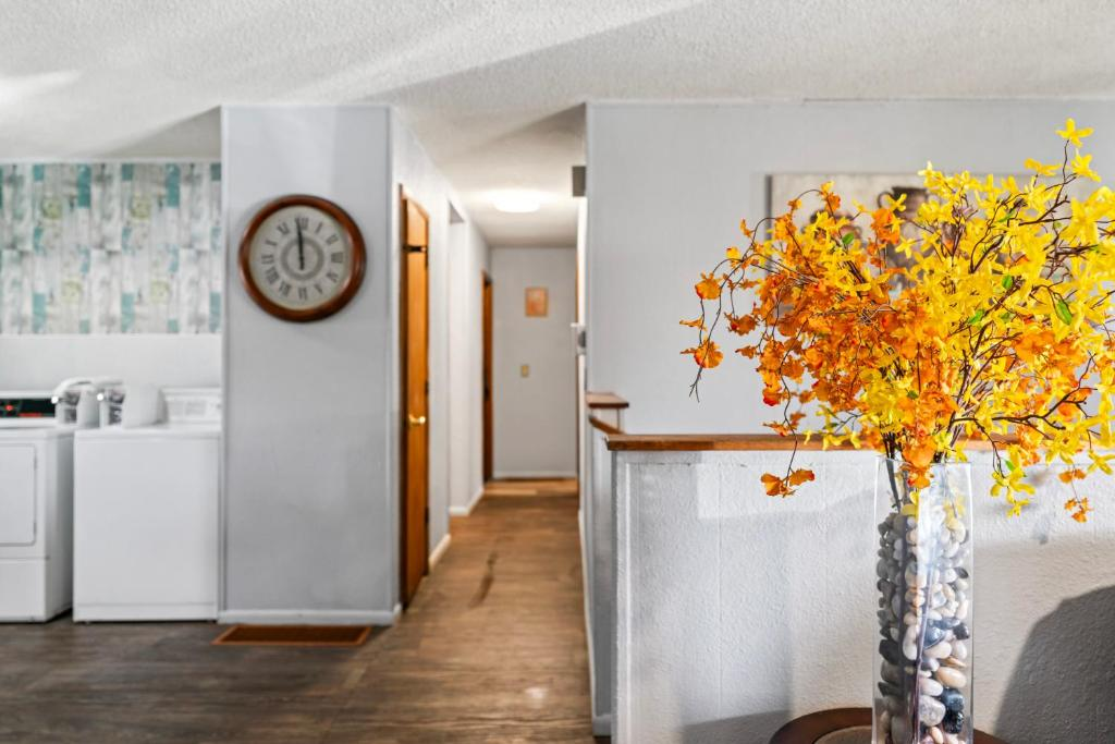Shared laundry and kitchen area, Sunset Room, East 6th Avenue